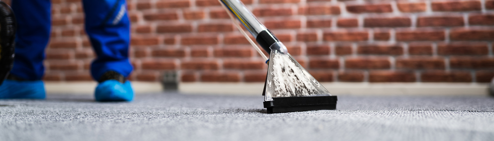 7 reasons to steam clean your carpets
